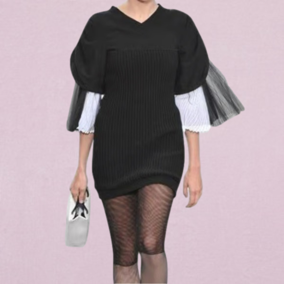 Zara Dresses & Skirts - Black Rib Knit & Tulle Inset Detailed Dress